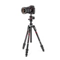 ZESTAW MANFROTTO BEFREE Advanced Carbon