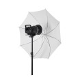 Quadralite Up! X 400 Kit