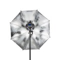 Quadralite Move X 200 Kit