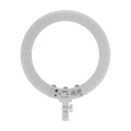 Lampa pierścieniowa LED Newell RL-18A - WB