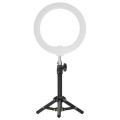 Lampa pierścieniowa LED Newell RL-10A Arctic White