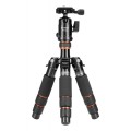 Statyw Fotopro X-go mini z głowicą kulową FPH-42Q