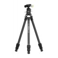 Statyw Fotopro P-2 z głowicą kulową P-2H - czarny