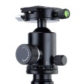 Statyw Fotopro X-65C z głowicą kulową FPH-62R - czarny