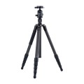 Statyw Fotopro X-65C z głowicą kulową FPH-62R - czarny