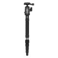 Statyw Fotopro X-go Gecko z głowicą kulową FPH-42Q