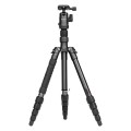 Statyw Fotopro X-go Gecko z głowicą kulową FPH-42Q