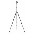 Statyw Fotopro X-go Gecko z głowicą kulową FPH-42Q
