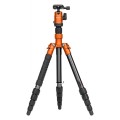 Statyw Fotopro X-go Gecko z głowicą kulową FPH-42Q