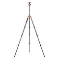 Statyw Fotopro X-go Predator z głowicą kulową FPH-62Q