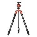 Statyw Fotopro X-go Predator z głowicą kulową FPH-62Q