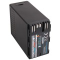 PATONA PLATINUM BP-A65 + D-Tap + USB