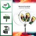 PATONA Premium Vlogger Premium Kit LED 10"